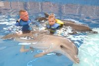 Terezka při delfinoterapii