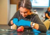 Návštěvníci veletrhu si budou moci osvojit i ryze praktické
medicínské dovednosti, a to pod dohledem zkušených
zdravotníků